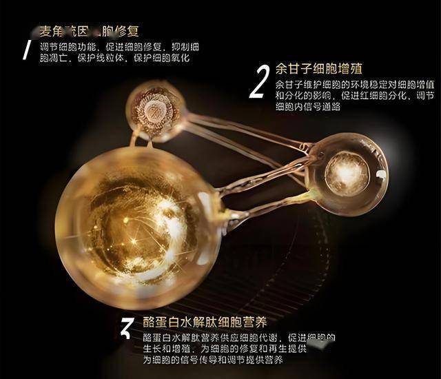 Crocs与Peanuts联名 时尚溢满童真意趣